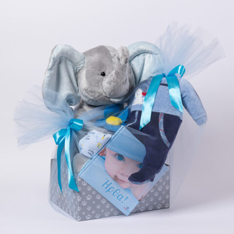 Δωροσύνθεση 140, σε γαλάζιο χρώμα