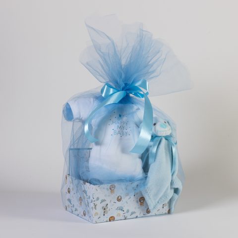 Δωροσύνθεση 40, σε γαλάζιο χρώμα