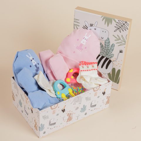 Δωροσύνθεση 45 για δίδυμα, σε ροζ και γαλάζιο