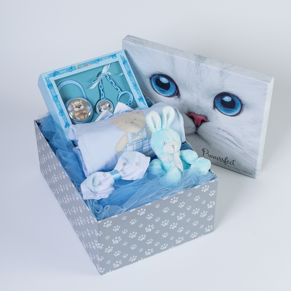 Δωροσύνθεση 110, σε γαλάζιο χρώμα