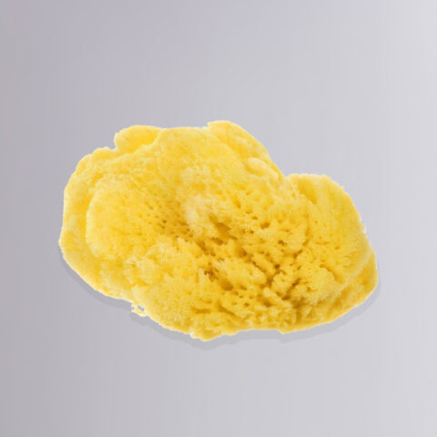 Φυσικό Σφουγγαράκι