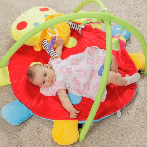 Πάρκο δραστηριοτήτων, πασχαλίτσα