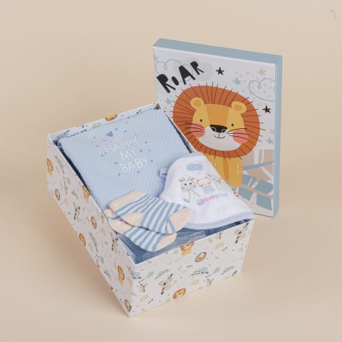 Δωροσύνθεση 40, σε γαλάζιο χρώμα