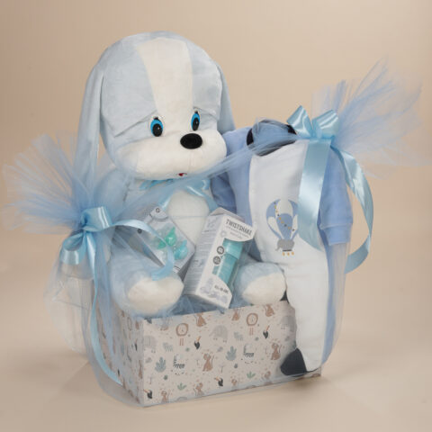 Δώρο γέννησης για αγόρι με γαλάζιο λούτρινο σκυλάκι Πόλντο, φορμάκι και προϊόντα Twistshake σε κουτί Babyline.