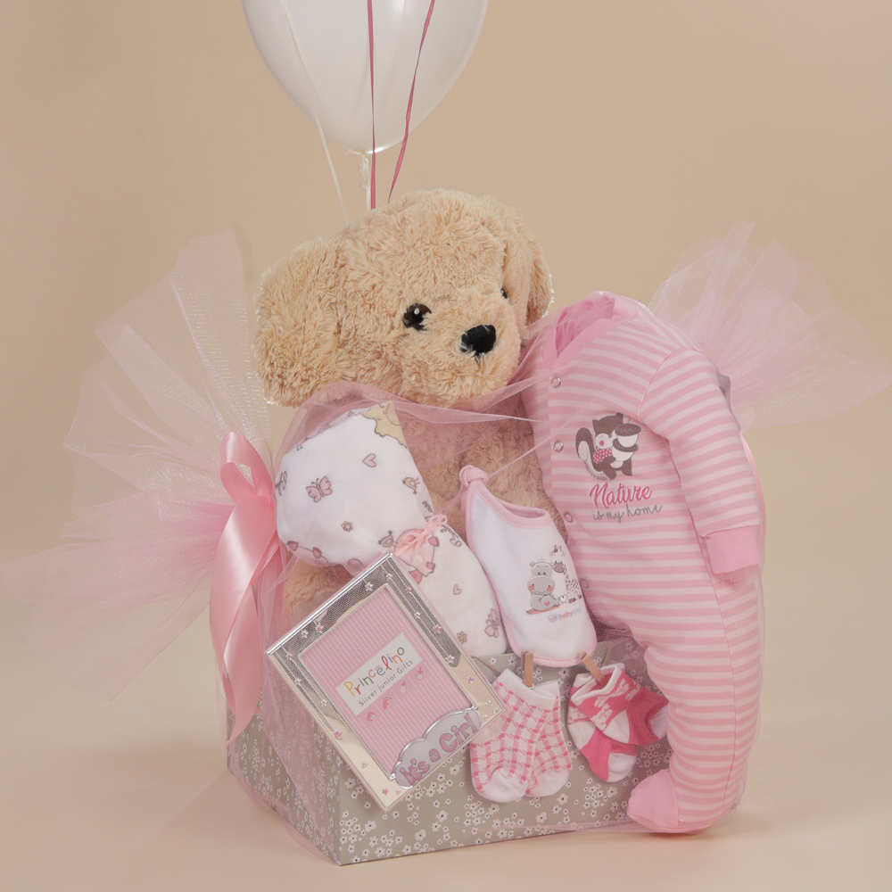 Κοντινή λήψη δώρου γέννησης για κορίτσι με λούτρινο σκυλάκι, κορνίζα 925 It’s a Girl, βρεφικά ρούχα και ροζ μπαλόνια σε κουτί Babyline