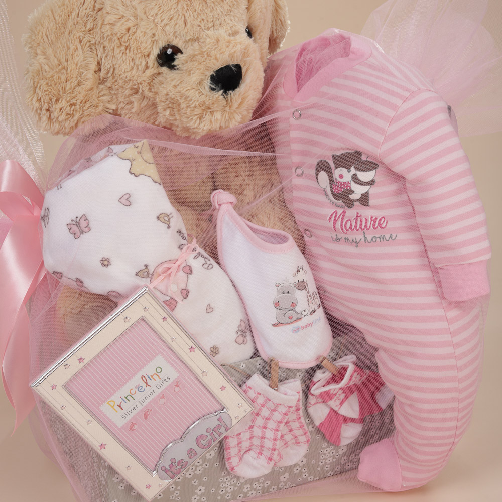 Λεπτομέρεια δώρου γέννησης για κορίτσι με λούτρινο σκυλάκι, κορνίζα 925 It’s a Girl, βρεφικά ρούχα και μπαλόνια