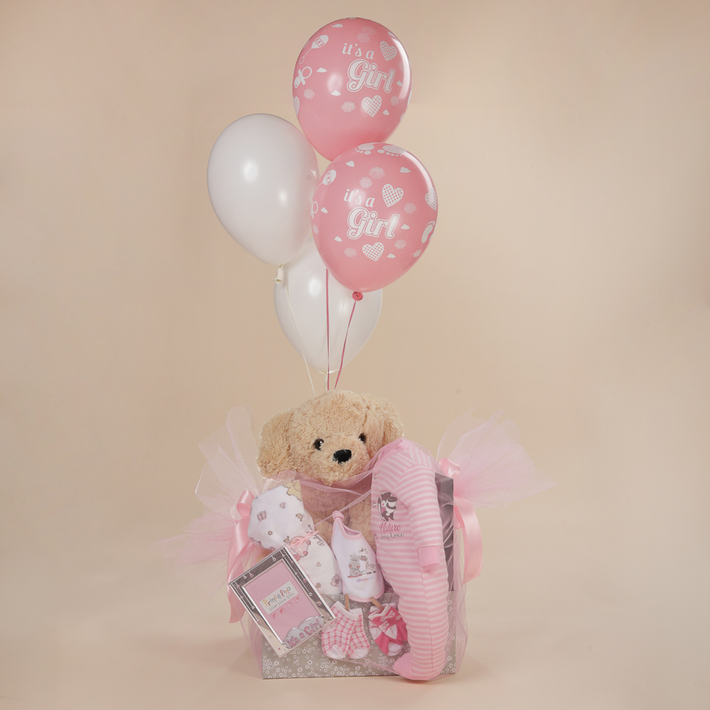 Μπροστινή λήψη δώρου γέννησης για κορίτσι κε λούτρινο σκυλάκι και βρεφικά ρούχα