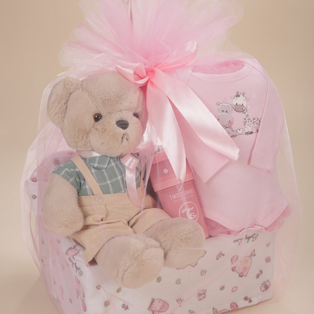Λεπτομέρεια του δώρου γέννησης για κορίτσι με λούτρινο αρκουδάκι, μπιμπερό Twistshake, βρεφικά είδη και κουτί Babyline