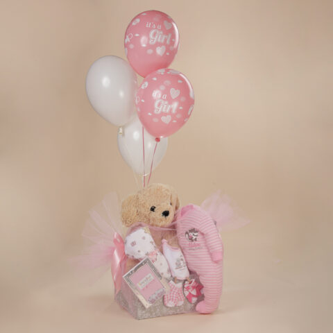 Δώρο γέννησης για κορίτσι με λούτρινο σκυλάκι, κορνίζα 925 It’s a Girl, βρεφικά ρούχα και ροζ μπαλόνια σε κουτί Babyline