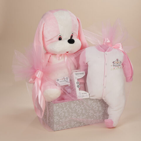 Δώρο γέννησης για κορίτσι με ροζ λούτρινο σκυλάκι Πόλντο, βελούδινο φορμάκι και προϊόντα Twistshake σε κουτί Babyline.