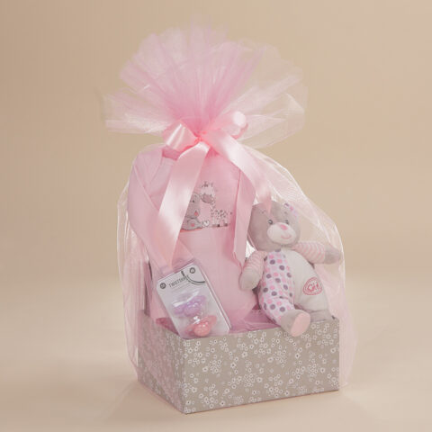 Σετ δώρου για νεογέννητο κοριτσάκι με βαμβακερό κορμάκι, πιπίλες 0-6 μηνών και κουδουνίστρα σε κουτί Babyline