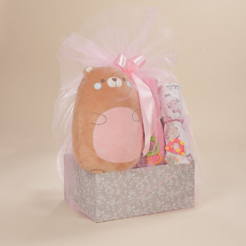 Σετ δώρου για νεογέννητο κορίτσι με λούτρινο ζωάκι αγκαλιάς, βαμβακερά σεντόνια λίκνου, κουδουνίστρες και οικολογικό κουτί Babyline.
