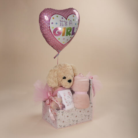 Δώρο για νεογέννητο κορίτσι με λούτρινο σκυλάκι και μπαλόνι It's a Girl Babyline