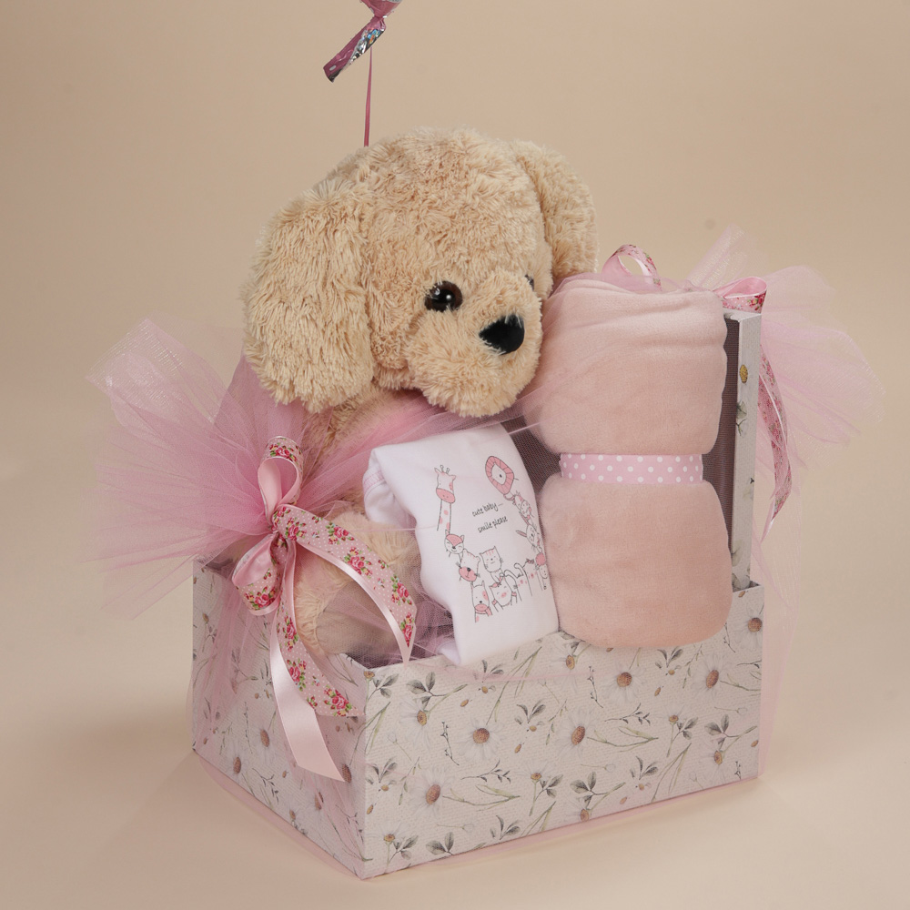 Κοντινή λήψη δώρου για νεογέννητο κορίτσι με λούτρινο σκυλάκι και μπαλόνι Babylinr